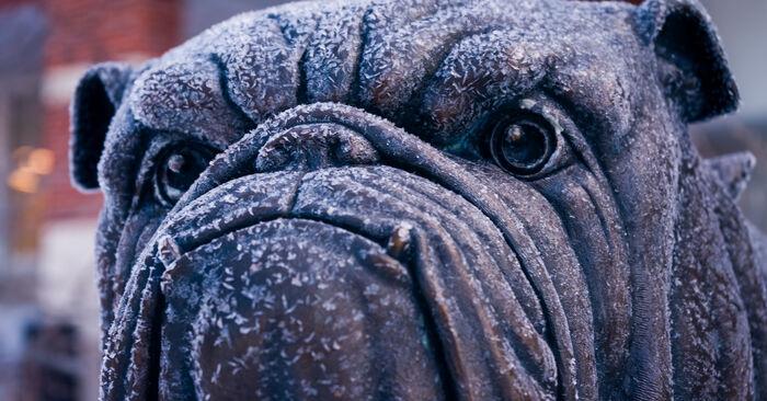 CampusSnow7Jan2025-20 - Truman Today.jpg 